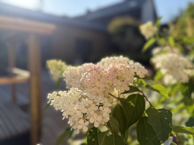 Le jardin de La Source, tiers-lieu du Groupe HOME